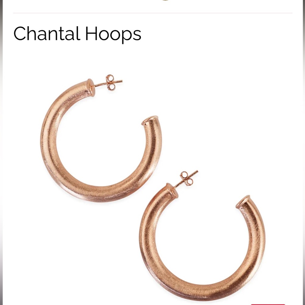 Sheila Fajl Chantal Hoop Earrings in Brushed Rose Gold